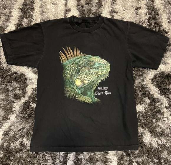 Vintage Other - Vintage Costa Rica Green Iguana Graphic T-Shirt Black